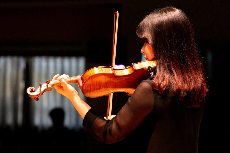 VA Violine, Viola
