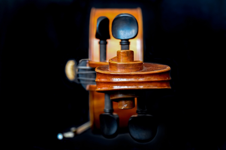VA Violine, Viola