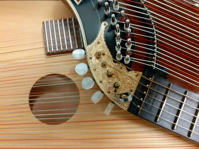 Zither-Abschlussmatinée der Erwachsenen
